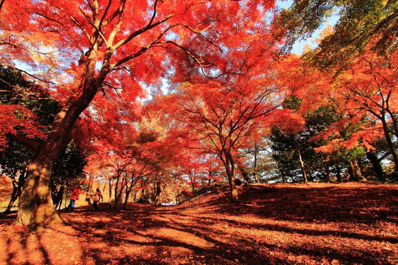 伊豆高原 温泉付別荘 Isana Mountain